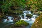 Savegre River in San Gerardo de Dota, San Jose Province, Costa Rica Art Print